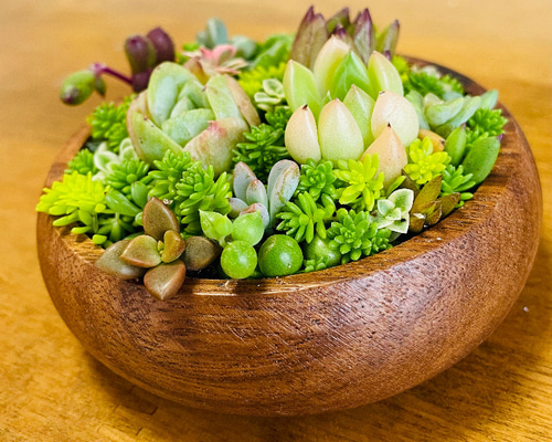 アスティエ　シンプルミニサラダボウル Sobre ミニサラダボウル 10.5cm – ATELIER ONLINE