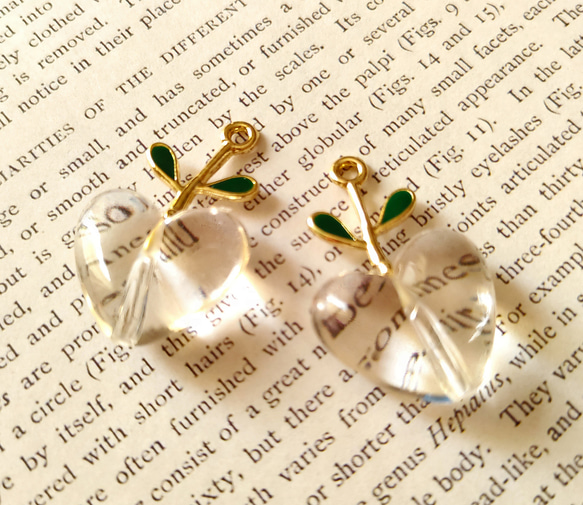 ✩.*˚りんごちゃん✩.*˚チャーム✩.*˚【R02-C005】