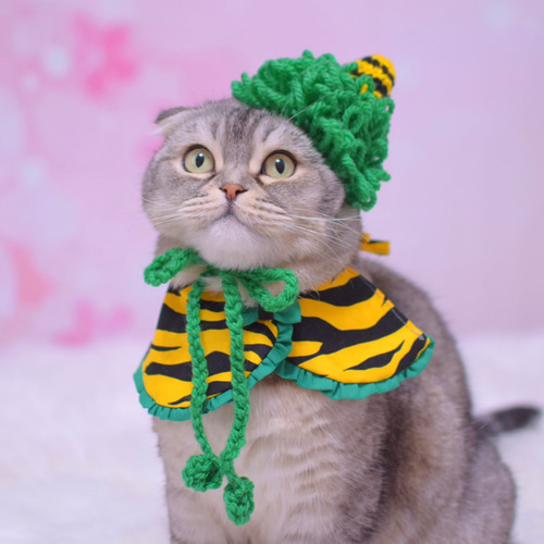 猫ﾁｬﾝ・犬ﾁｬﾝ・ウサﾁｬﾝ ちょこんと鬼の帽子♪♪ ペット服