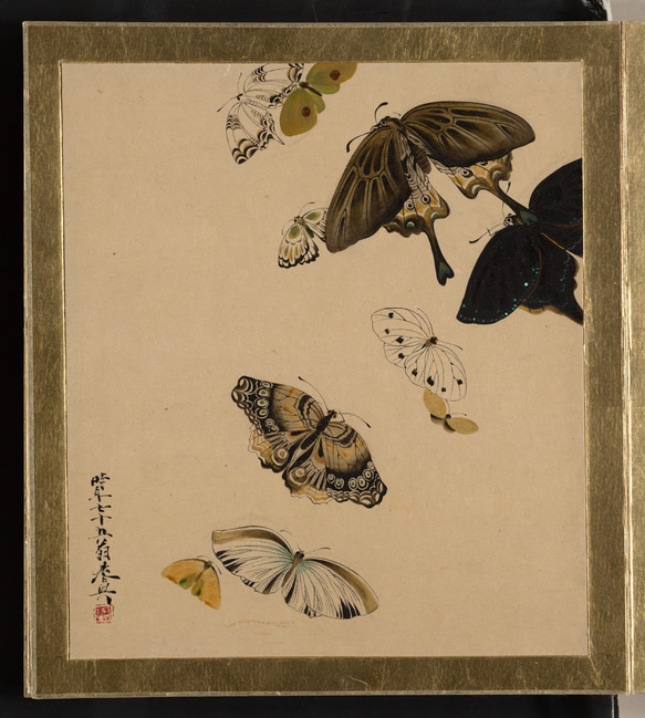 iPhone 手機殼 Zeshin Shibata 漆畫蝴蝶 [使用高解析度影像] 第9張的照片