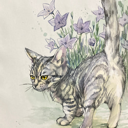 子猫 | yanagi