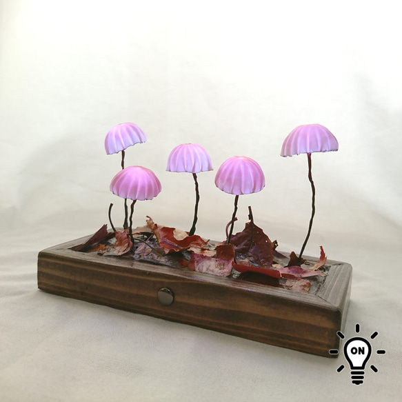 ハナオチバタケのランプ9 スタンドライト・テーブルランプ Darwin 通販