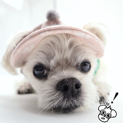 ドッグキャップ-ポンポン-ピンク肉球柄（耳出し）犬用帽子 1枚目の画像