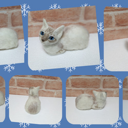 羊毛フェルト　「まだはっきりと色付いていないシャム系mixの子猫」オブジェ 2枚目の画像