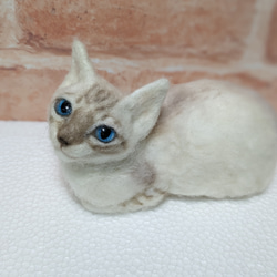 羊毛フェルト　「まだはっきりと色付いていないシャム系mixの子猫」オブジェ 1枚目の画像