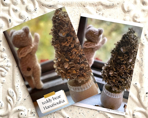 Teddy Bear　テディベア写真集フォトブック　　セット Teddy Bear テディベア写真集フォトブック セット Teddy Bear