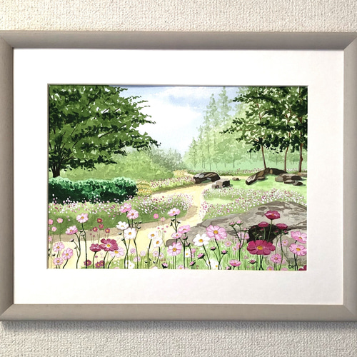 透明水彩画　水彩画　「コスモスの小径」額縁付　F４サイズ　原画 コスモスの小径」透明水彩画 原画 風景画 額縁付 ハガキサイズ