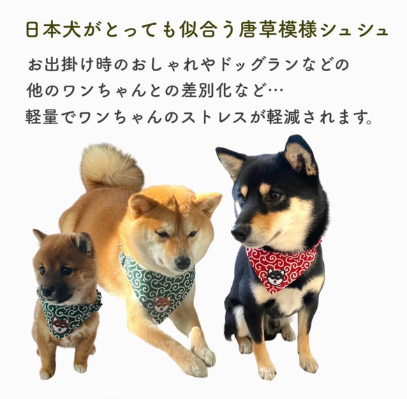 【犬首輪 唐草模様 スカーフ シュシュ】犬用 猫用 首輪 スカーフ 和柄 唐草模様 可愛い 3枚目の画像