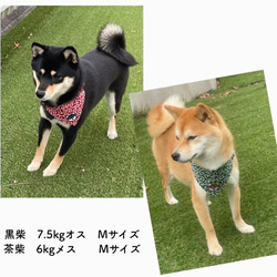 【犬首輪 唐草模様 スカーフ シュシュ】犬用 猫用 首輪 スカーフ 和柄 唐草模様 可愛い 10枚目の画像