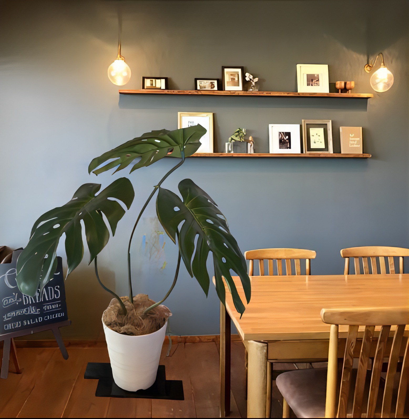 光触媒　人工観葉植物　ウォールグリーン　フェイク　フラワー　ハンドメイド　モンステラＭ