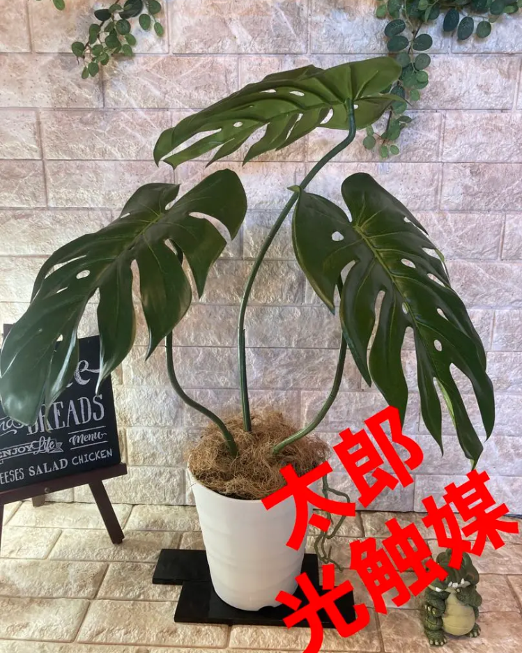 光触媒　人工観葉植物　ウォールグリーン　フェイク　フラワー　ハンドメイド　モンステラＭ
