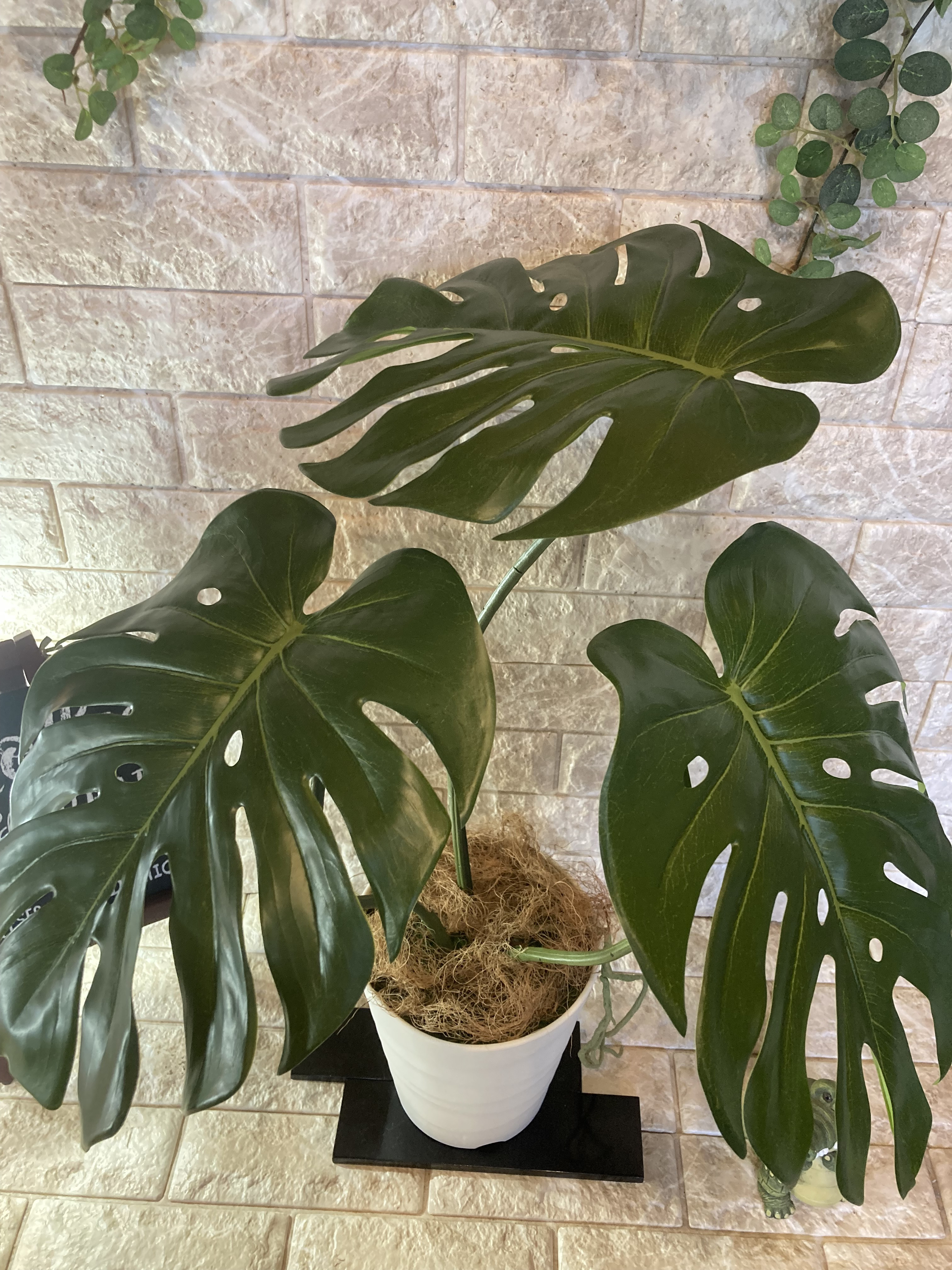 光触媒　人工観葉植物　ウォールグリーン　フェイク　フラワー　ハンドメイド　モンステラＭ