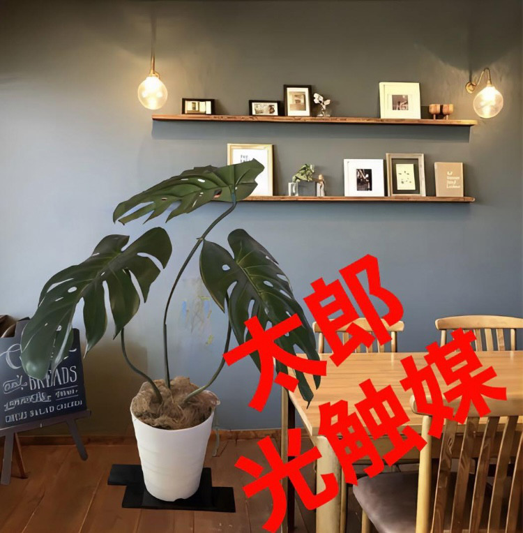 光触媒　人工観葉植物　ウォールグリーン　フェイク　フラワー　ハンドメイド　モンステラＭ