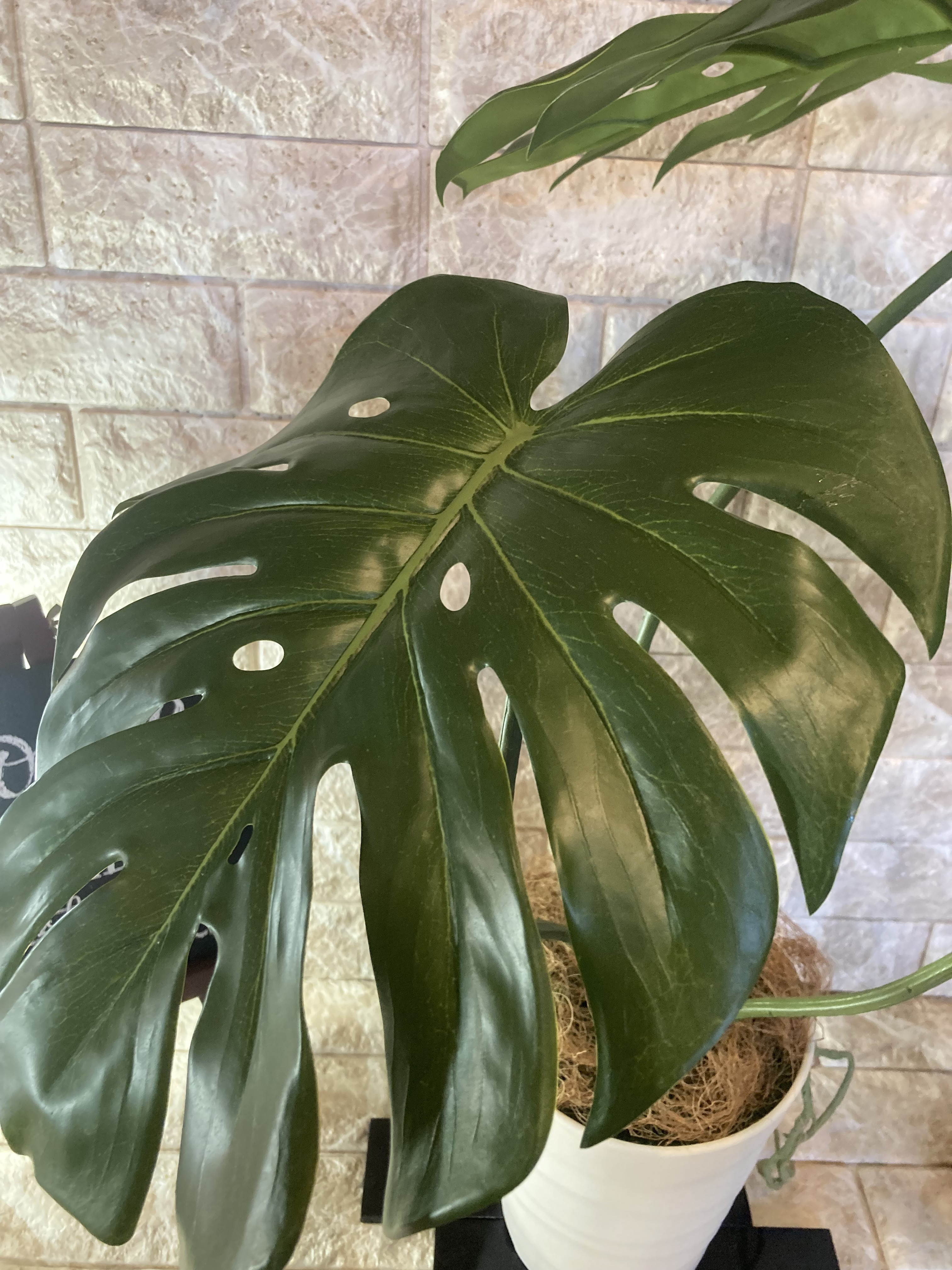 光触媒　人工観葉植物　ウォールグリーン　フェイク　フラワー　ハンドメイド　モンステラＭ