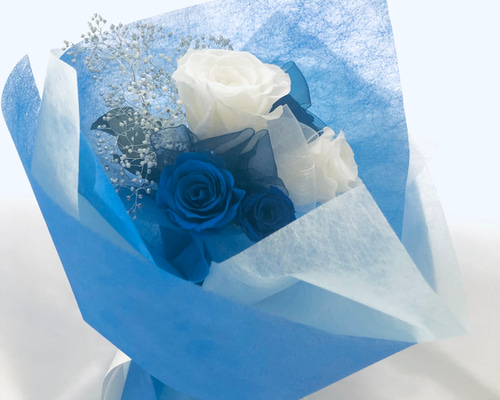 bf5fe9581828855952dcc3b01b5d53