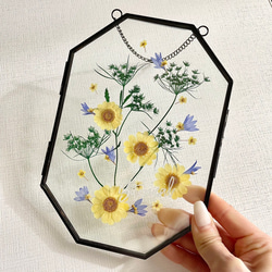 【押し花 ガラスフレーム】お花を使った 可愛い インテリアガラスフレーム 【Botanical A】 2枚目の画像