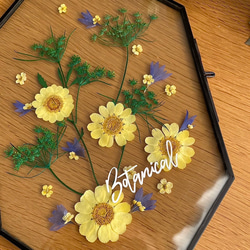 【押し花 ガラスフレーム】お花を使った 可愛い インテリアガラスフレーム 【Botanical A】 5枚目の画像
