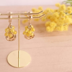 アゲート・めのう（瑪瑙） イヤリング・ノンホールピアス の人気通販