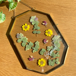【押し花 ガラスフレーム】お花を使った 可愛い インテリアガラスフレーム 【Botanical B】 5枚目の画像