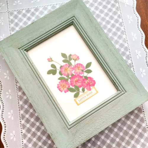 送料無料】押し花アート・植物標本風のデザインの小さなバラの