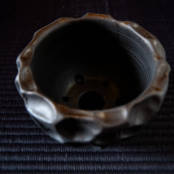 3号黒金彩鉢３　塊根植物　多肉植物　コーデックス　植木鉢　沖縄 4枚目の画像