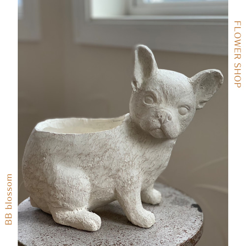 可愛いDOG犬型陶器鉢 》 観葉植物 多肉植物 お花の寄せ植えに