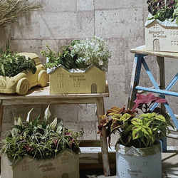 《可愛い屋根おうち型陶器鉢 》 観葉植物 多肉植物 お花の寄せ植えに ガーデニング ビオラ パンジー アンティーク 80 2枚目の画像