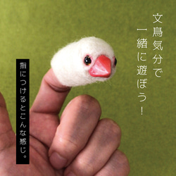 文鳥気分で一緒に遊ぼう！文鳥　指にんぎょう 4枚目の画像