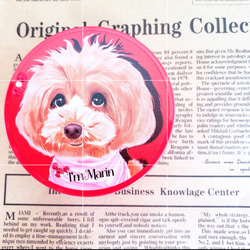 お客様専用カート/オーダーメイドお散歩グッズ　世界で１つ　犬のおやつ缶　手書き 2枚目の画像