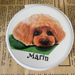 お客様専用カート/オーダーメイドお散歩グッズ　世界で１つ　犬のおやつ缶　手書き 6枚目の画像