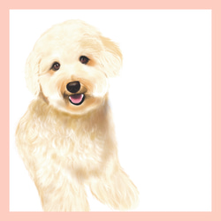 お客様専用カート/オーダーメイドお散歩グッズ　世界で１つ　犬のおやつ缶　手書き 9枚目の画像