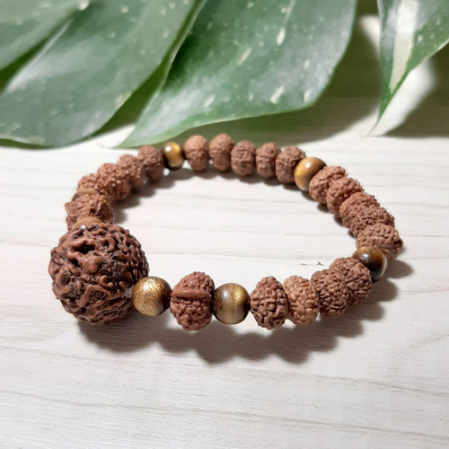 No-2 ルドラクシャブレスレット1ムキ〜10ムキ& 8ムキガネーシャ