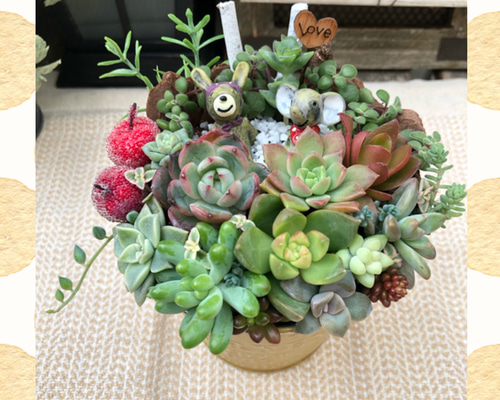 このまま飾れます☺︎】仲良しウサギさん＆ゾウさん♪多肉植物