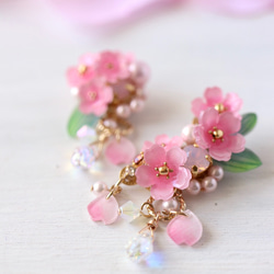 櫻花Shararin*bijou耳環/耳環（右耳）+耳夾（左耳）*反過來也可以！鮮花，禮物，粉紅色 第18張的照片