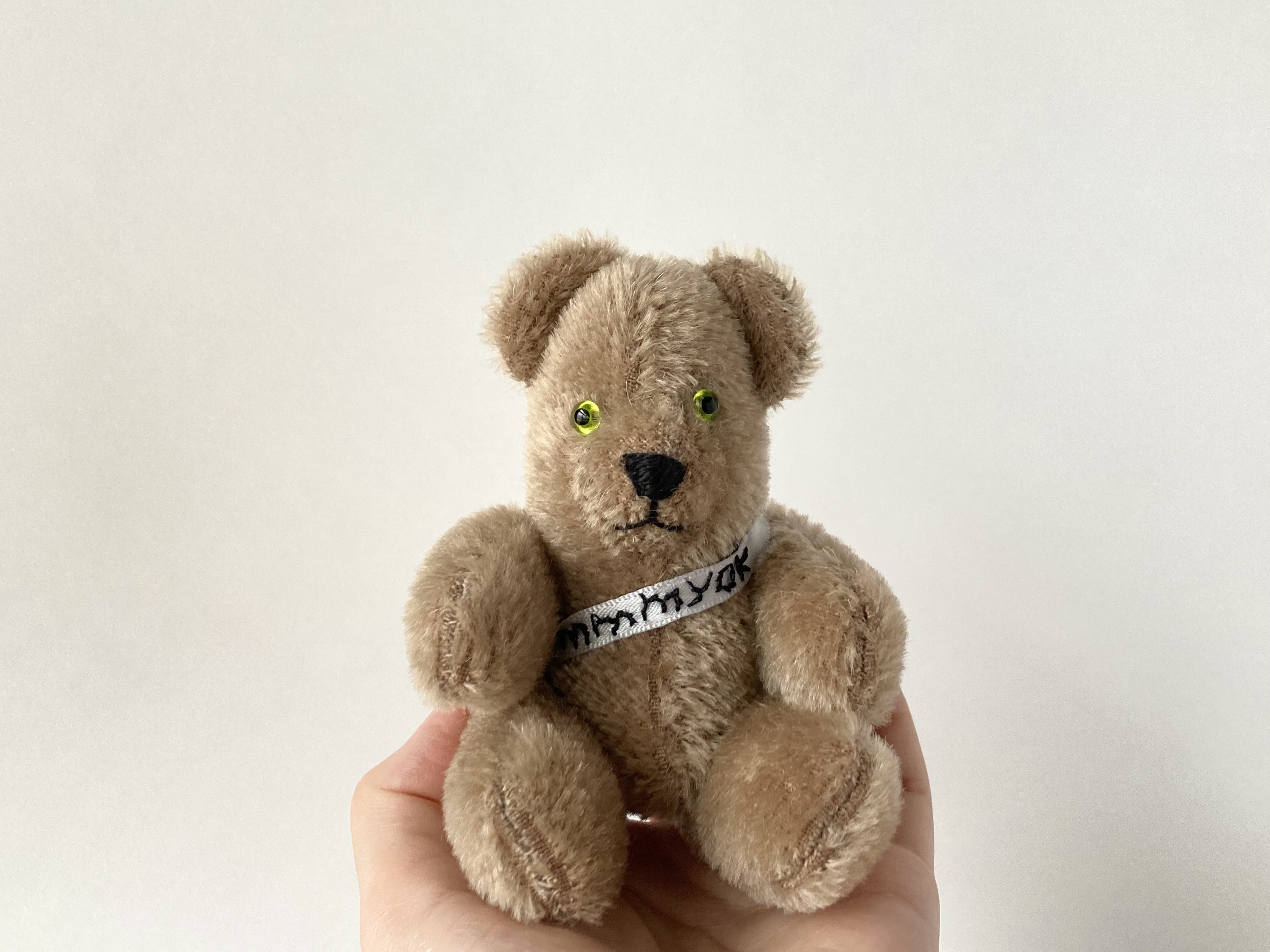 13㎝□フレーフレー ピーナッツベア ペリドット ぬいぐるみ mmmyok