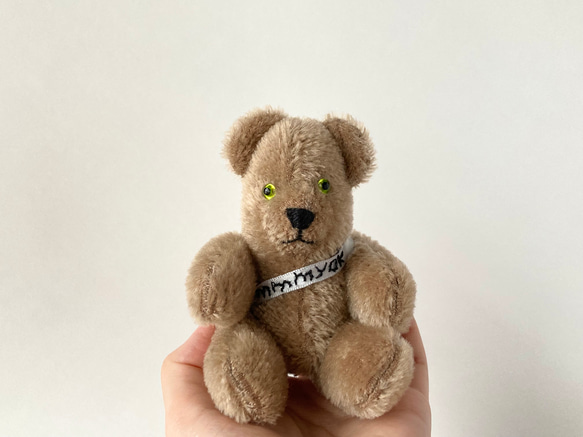 13㎝□フレーフレー ピーナッツベア ペリドット ぬいぐるみ mmmyok