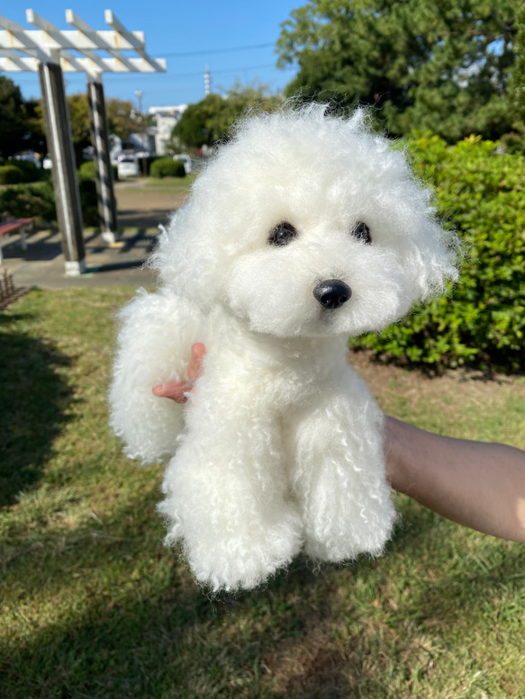 愛犬ちゃんのそっくりなリアルなペット人形をお作りします！　羊毛フェルト　犬　オーダー　ぬいぐるみ　愛犬　　ペット　リアル 2枚目の画像