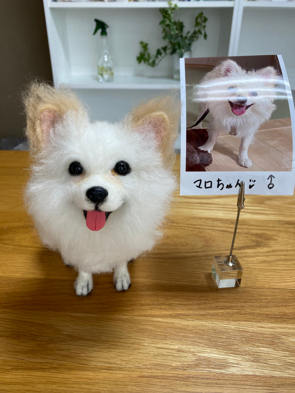 愛犬ちゃんのそっくりなリアルなペット人形をお作りします！　羊毛フェルト　犬　オーダー　ぬいぐるみ　愛犬　　ペット　リアル 5枚目の画像