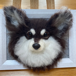 愛犬ちゃんのそっくりなリアルなペット人形をお作りします！　羊毛フェルト　犬　オーダー　ぬいぐるみ　愛犬　　ペット　リアル 8枚目の画像