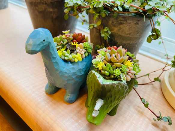 売約済多肉植物 寄せ植え 夏季休暇の連絡です。 @taniku_candy #多肉植物 #多肉植物のある