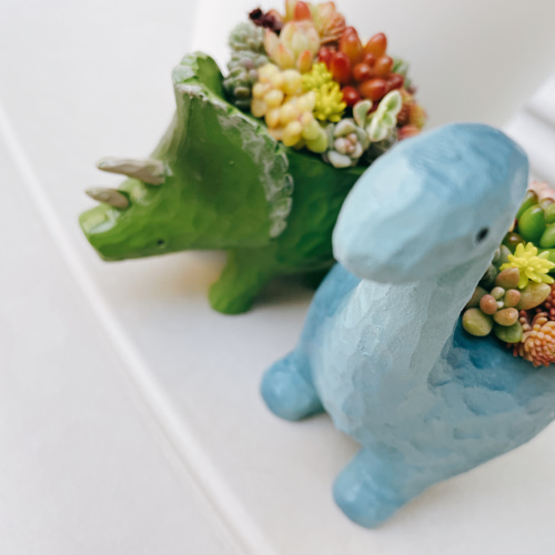 恐竜の寄せ植え〜多肉植物寄せ植え/多肉植物寄植え/多肉植物
