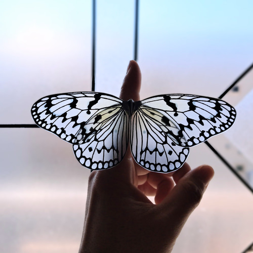 オオゴマダラ【自然形】 立体・オブジェ 優月館 通販 15242856｜Creema