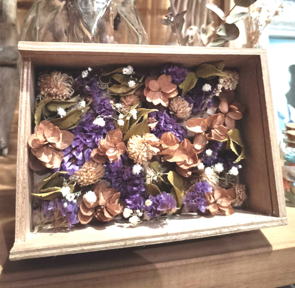 紫色のスターチス ドライフラワー 7本⇒25g〈No.40〉 ドライフラワー