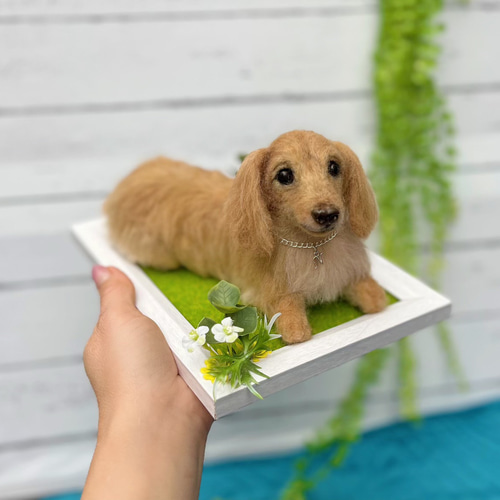 羊毛フェルト オーダー 「リアルで可愛いネコちゃん」額飾り