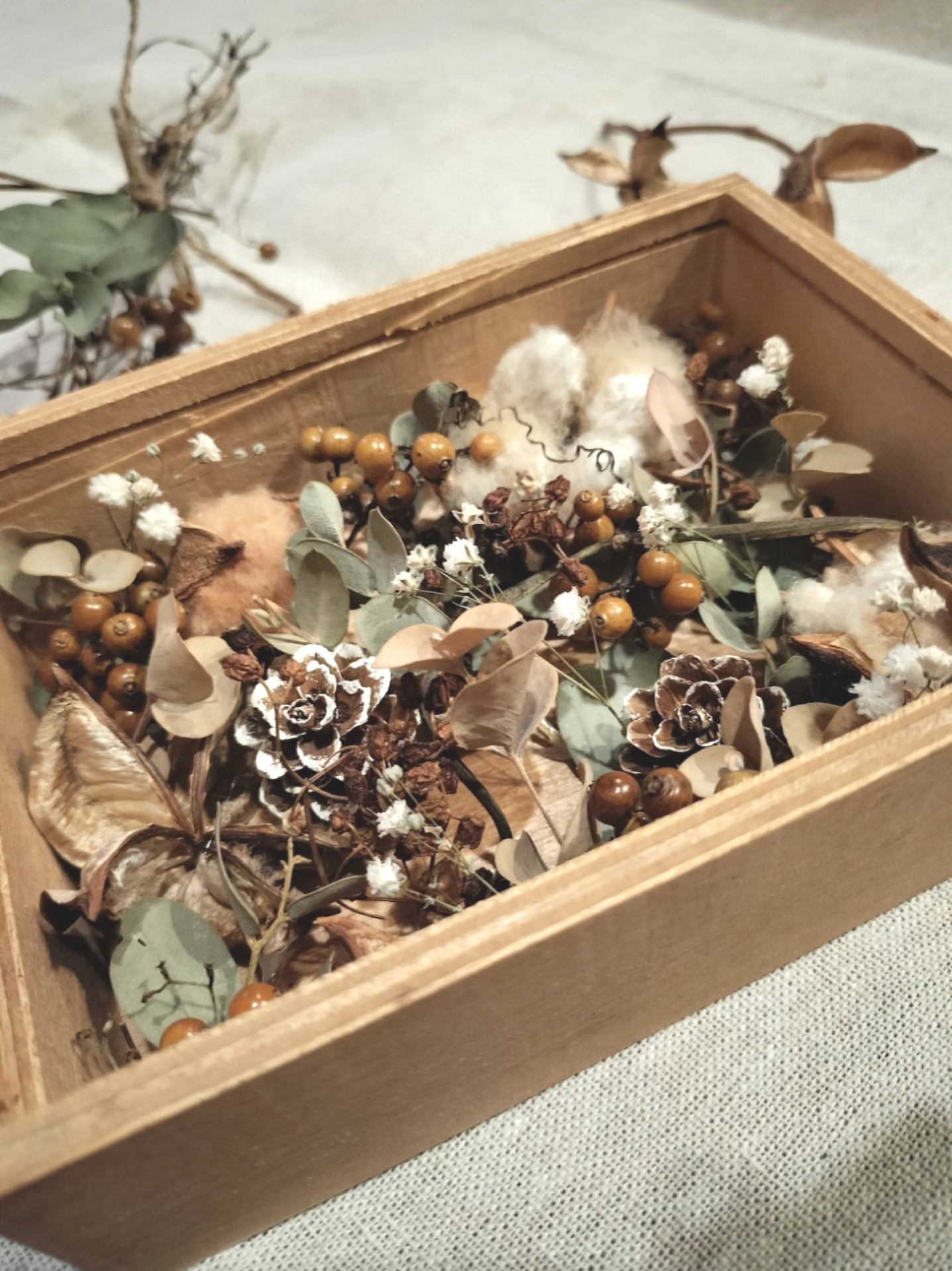 木の実詰め合わせ　No.530