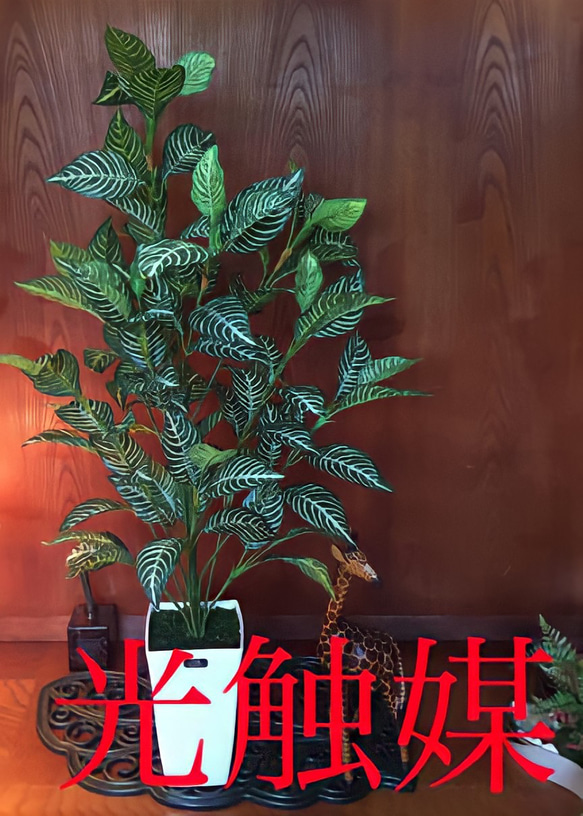 光触媒 人工観葉植物 ウォールグリーン フェイクグリーン ゼブラ