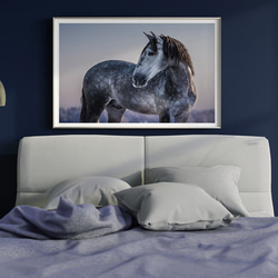 ゴージャス 馬 グレー stallion  / インテリアポスター 海外アート /4604 5枚目の画像