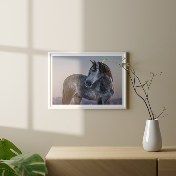 ゴージャス 馬 グレー stallion  / インテリアポスター 海外アート /4604 3枚目の画像