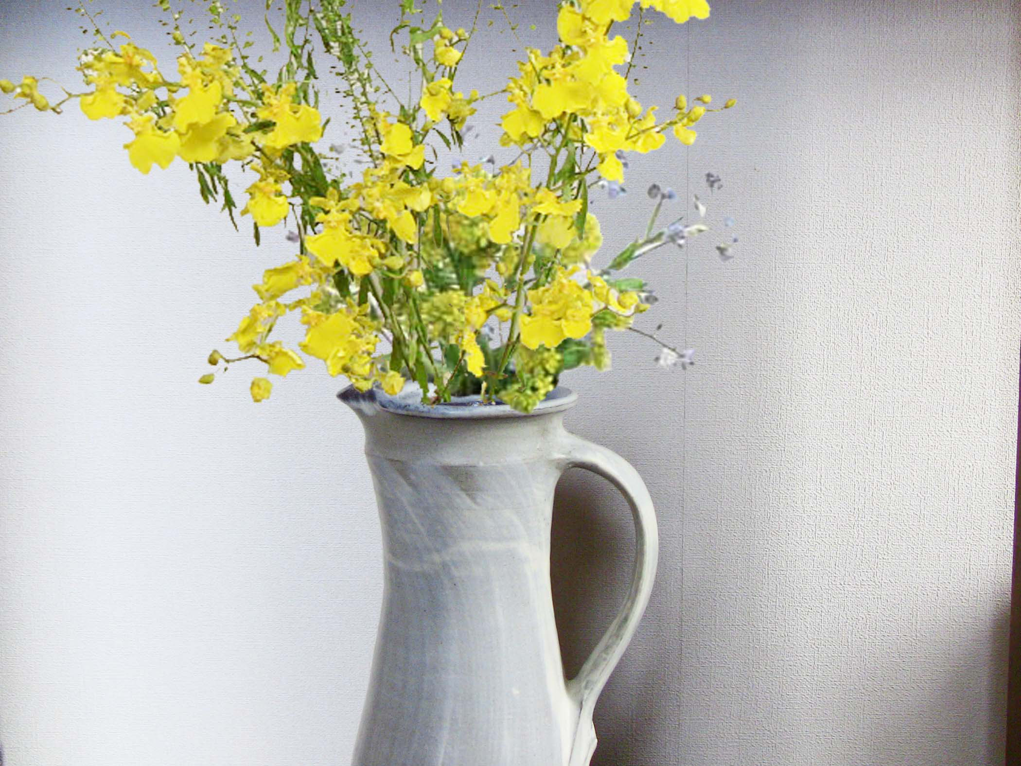 刷毛目文ピッチャー（蘭越）