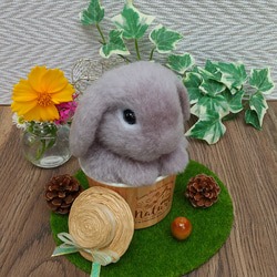 羊毛フェルト ネズミ 羊毛フェルト Sleeping forest 通販 12213496